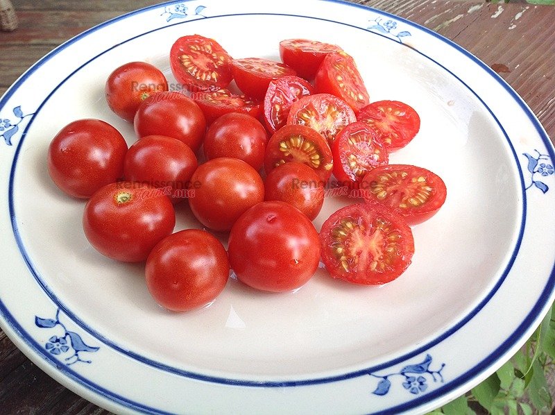 Gardener S Delight Tomato Heirloom Tomato Seeds