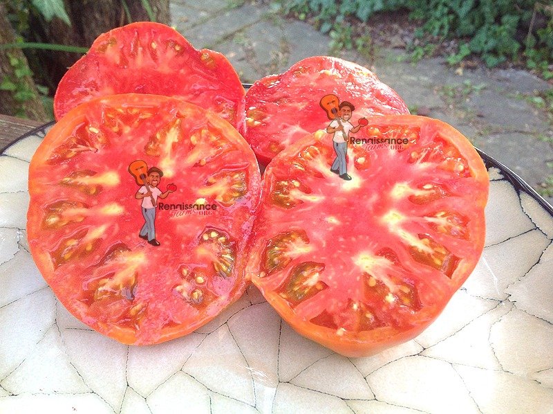 Melissa's Tomato & Onion Salad
